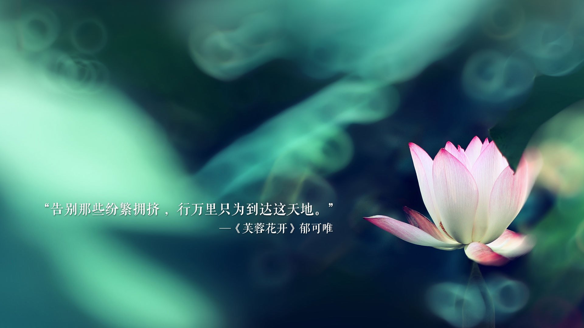 _涵盖多项运动的多元竞技节：网球+射箭+跑酷_，seedsports网球运动