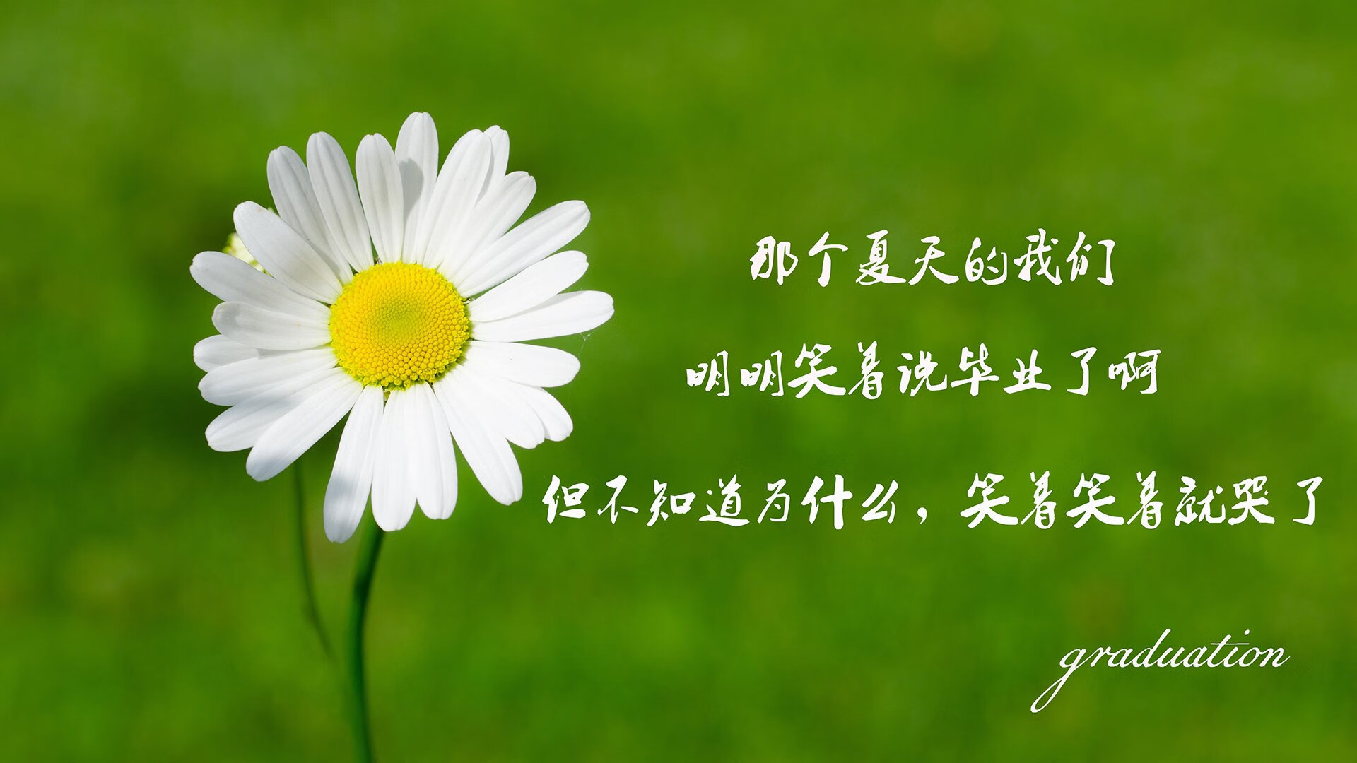 九游网游官网-_网球神话纪念赛：传承与创新共存的盛会_，网球球赛