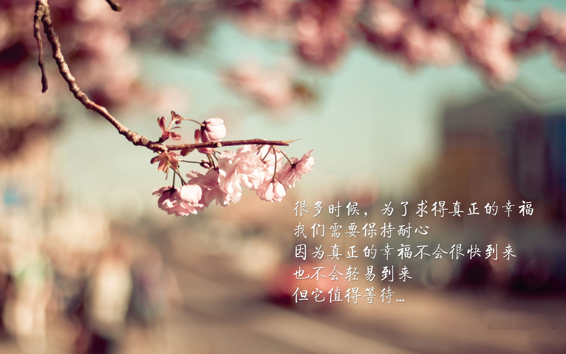 加拿大队表现抢眼，战胜对手晋级，加拿大队首发