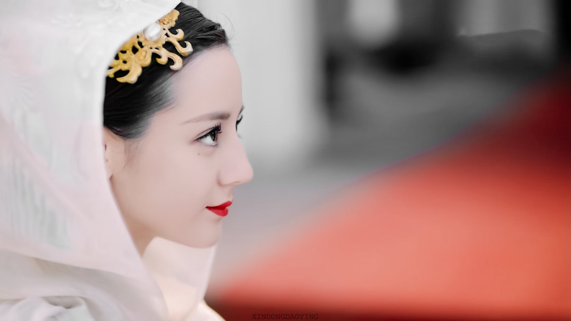 “美洲狮队：阿根廷橄榄球的崭新篇章”