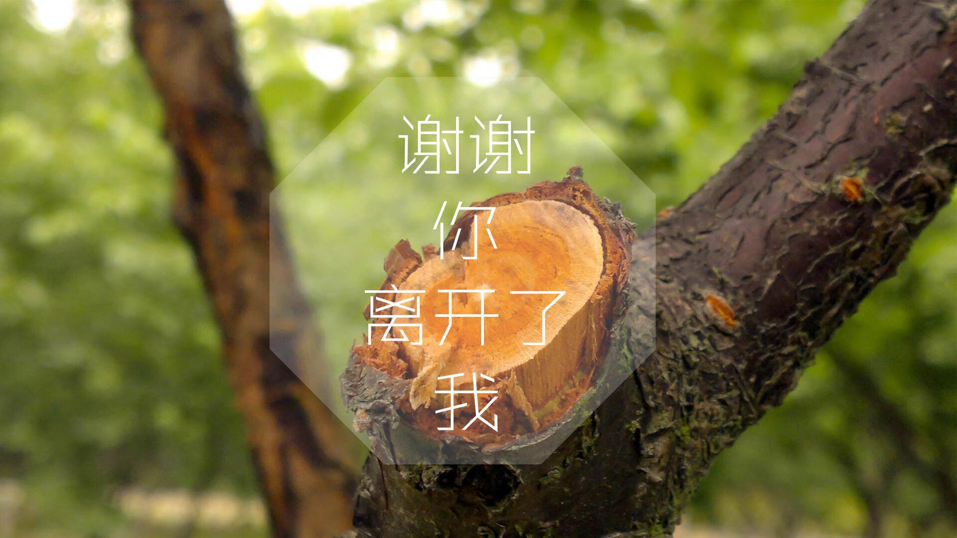 以足球为主题的旅游路线火爆，吸引大量游客，足球与旅游的结合